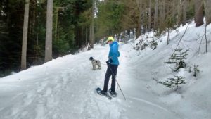 Skitour mit Hund