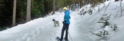 Skitour mit Hund