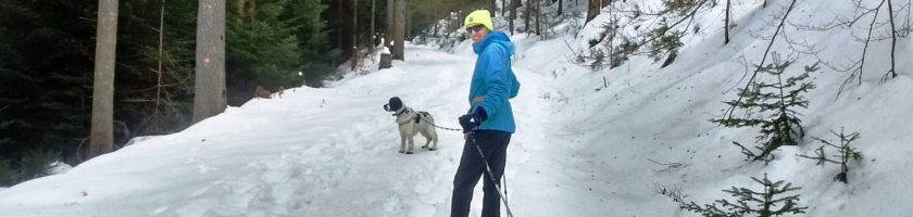 Skitour mit Hund