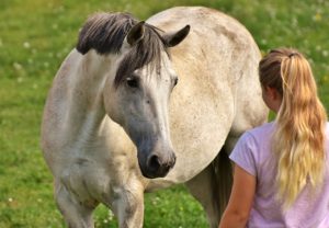 Sanftmut und Weisheit