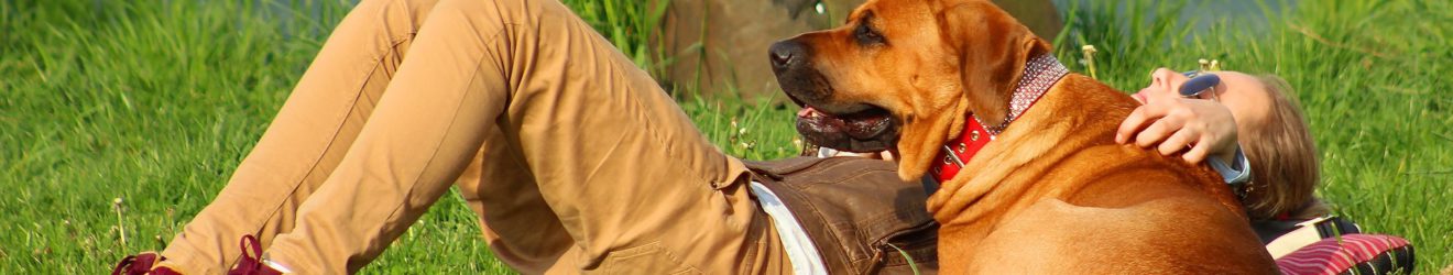 Hund und Frau liegen faul im Gras